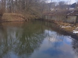 whatsapp image 2026-02-01 at 20.09.06 2